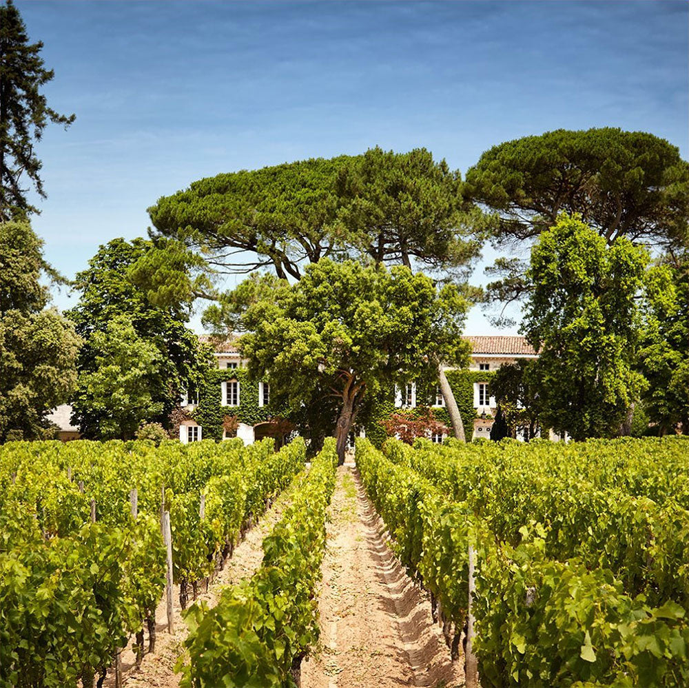 Chateau Rouget