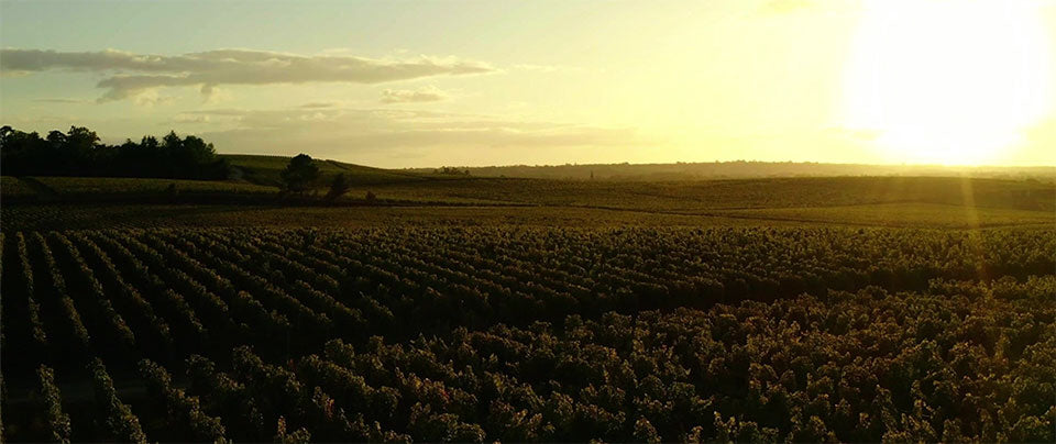 Chateau Sigalas Rabaud
