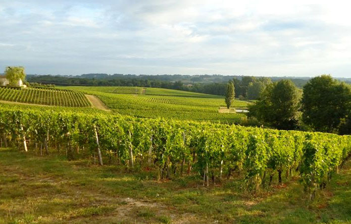 Chateau Valandraud