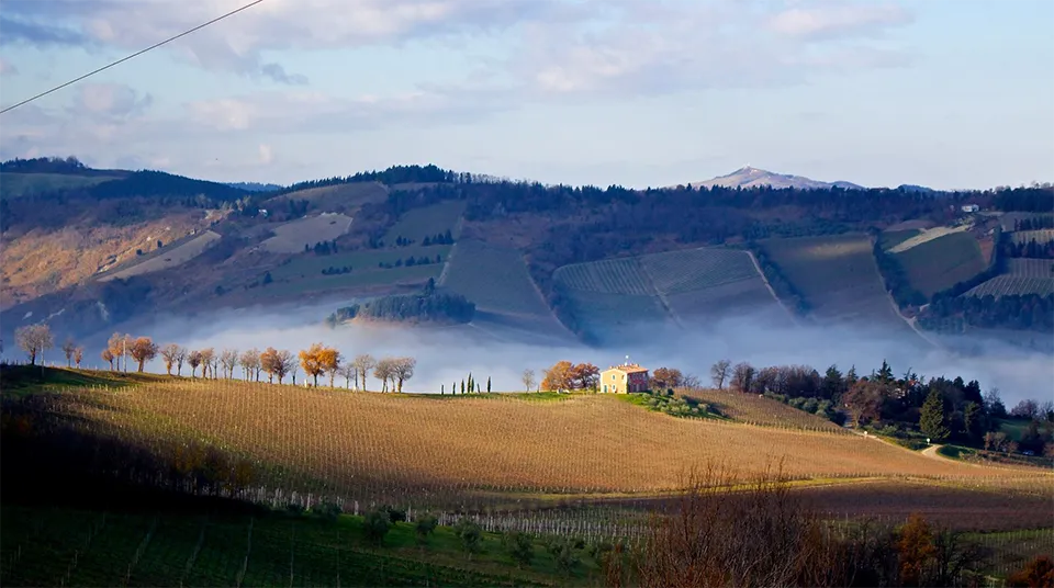 Condello Chiara Condello | xtraWine