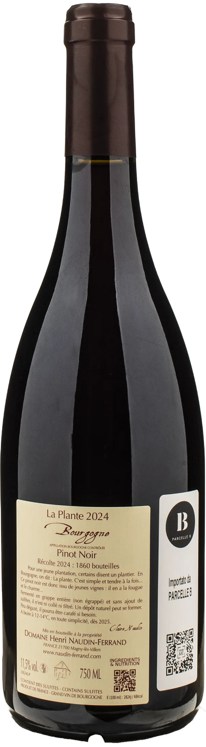 Claire Naudin Ferrand Bourgogne Pinot Noir Rouge La Plante 2024