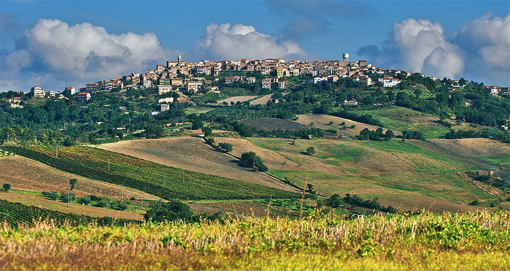Claudio Cipressi