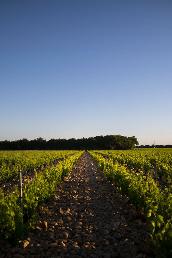 Clos de l'Oratoire des Papes