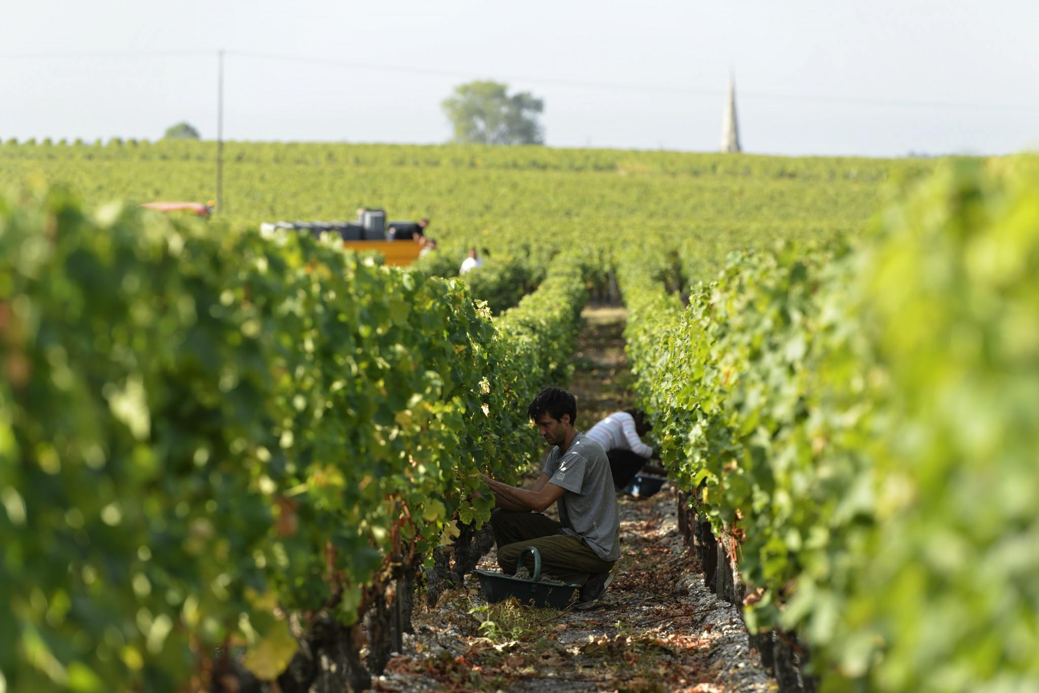 Clos de Lunes