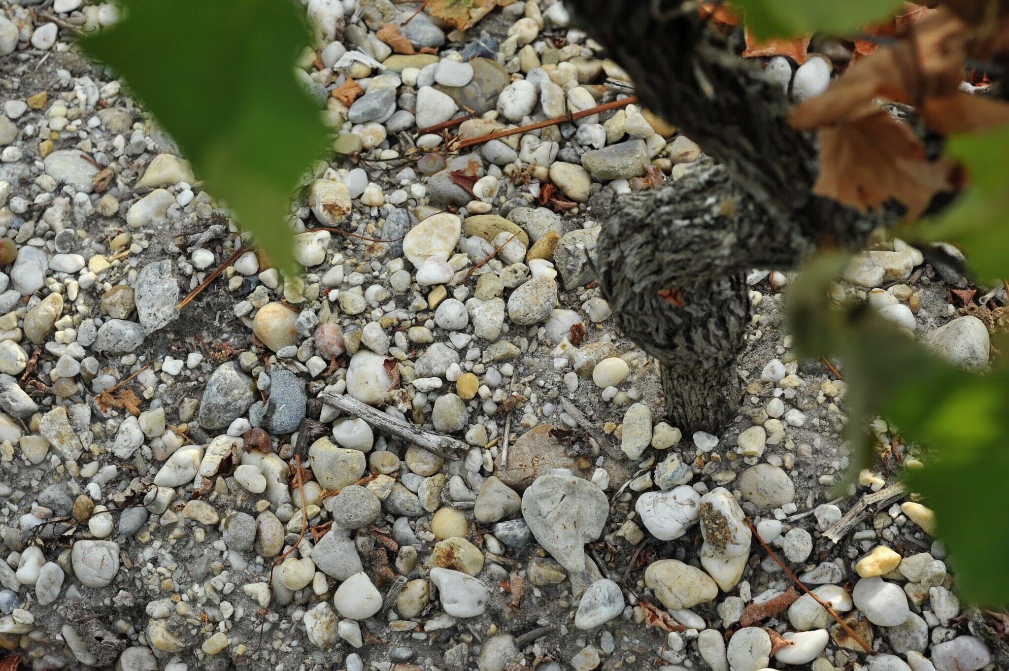 Clos de Lunes