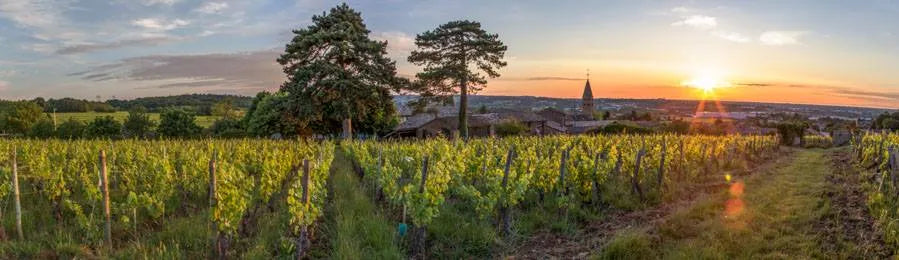 Clos des Rocs