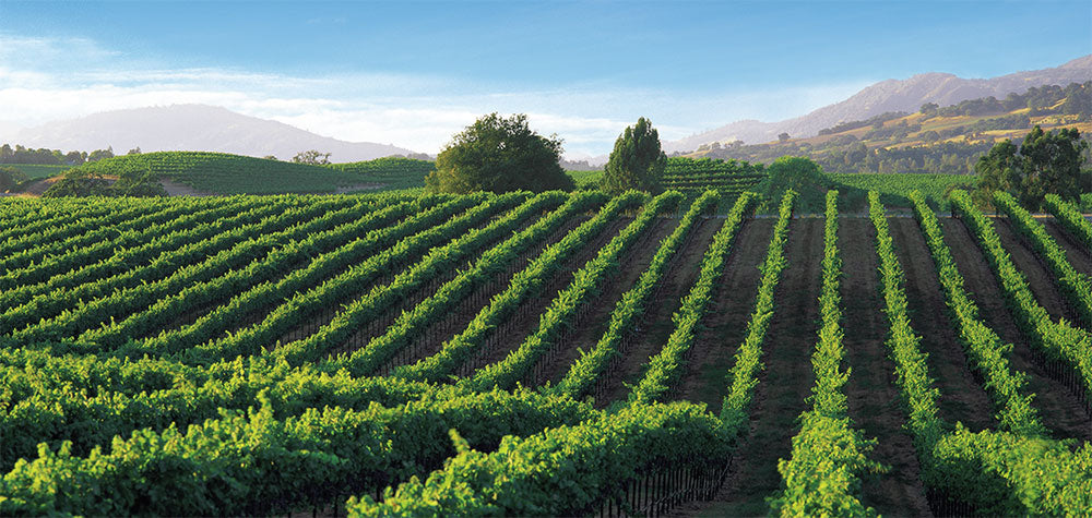 Clos du Bois
