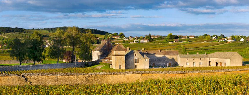 Clos Du Moulin Aux Moines
