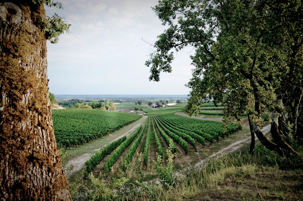 Clos Puy Arnaud