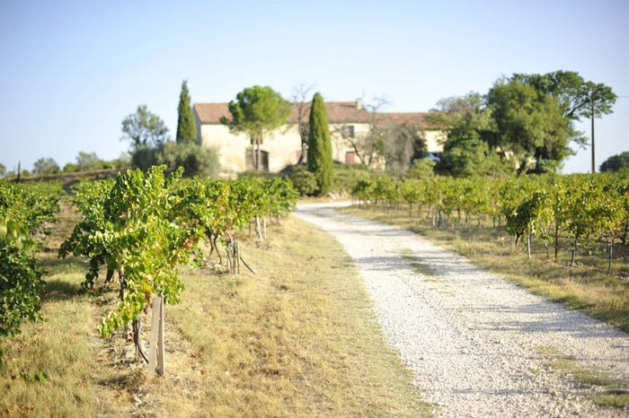 Clos St Antonin