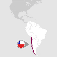 Produktionsbereich: Colchagua Valley