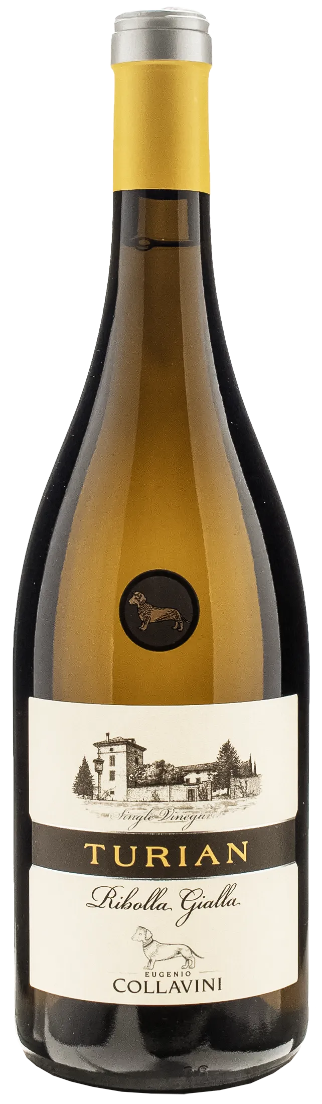 Collavini Ribolla Gialla Turian 2021