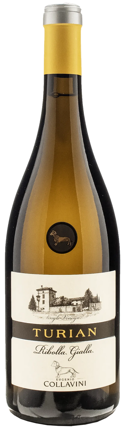 Collavini Ribolla Gialla Turian 2021