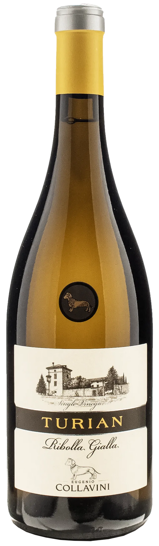 Collavini Ribolla Gialla Turian 2021
