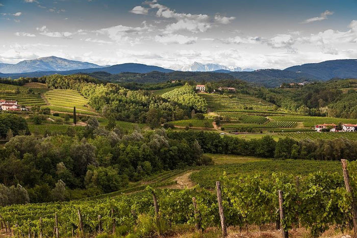 Collavini