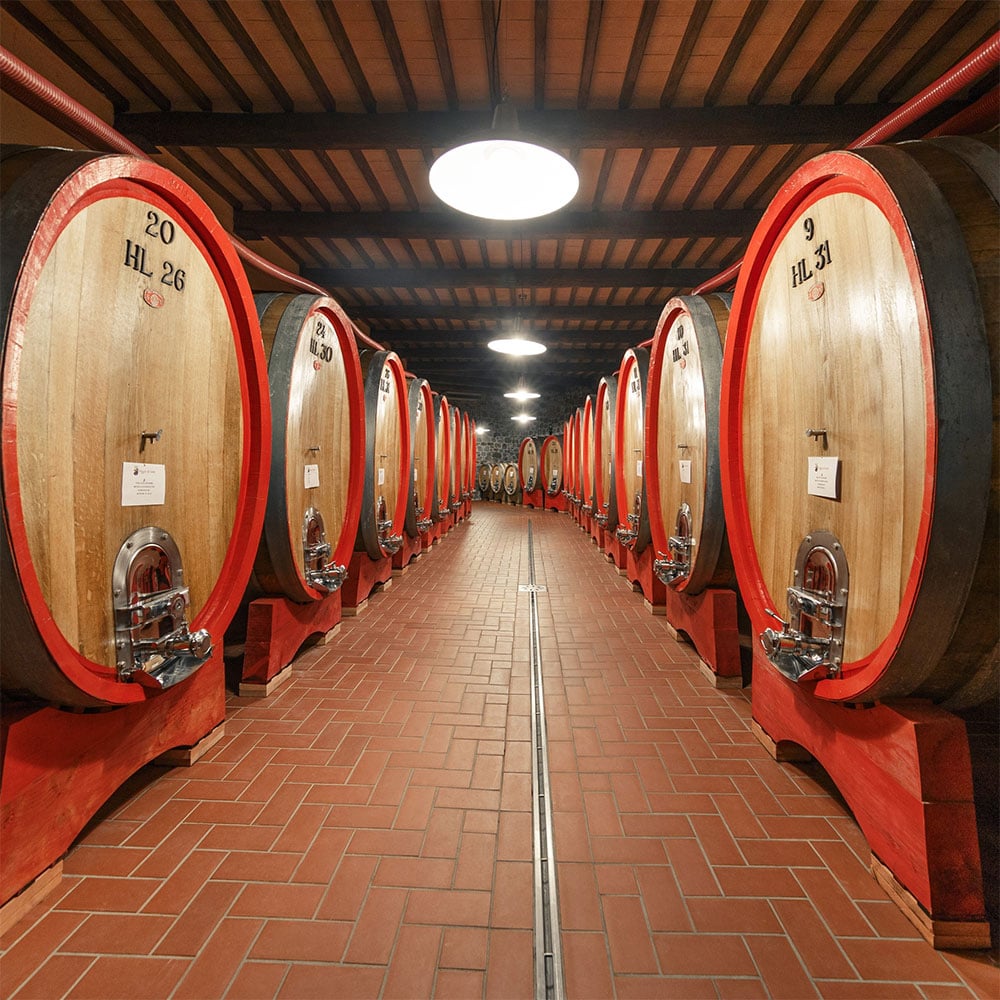 ColleMassari