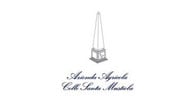 Colle Santa Mustiola logo