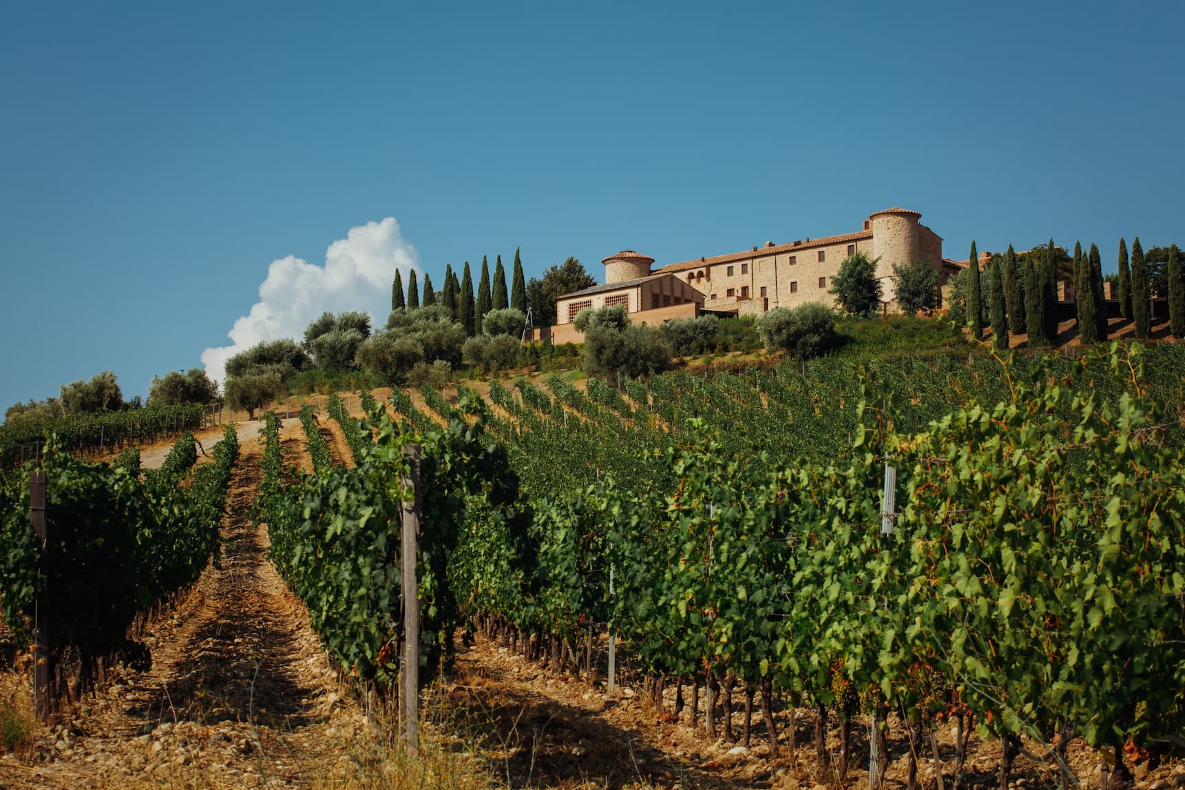 ColleMassari: the essence of Maremma, a great Tuscan tradition