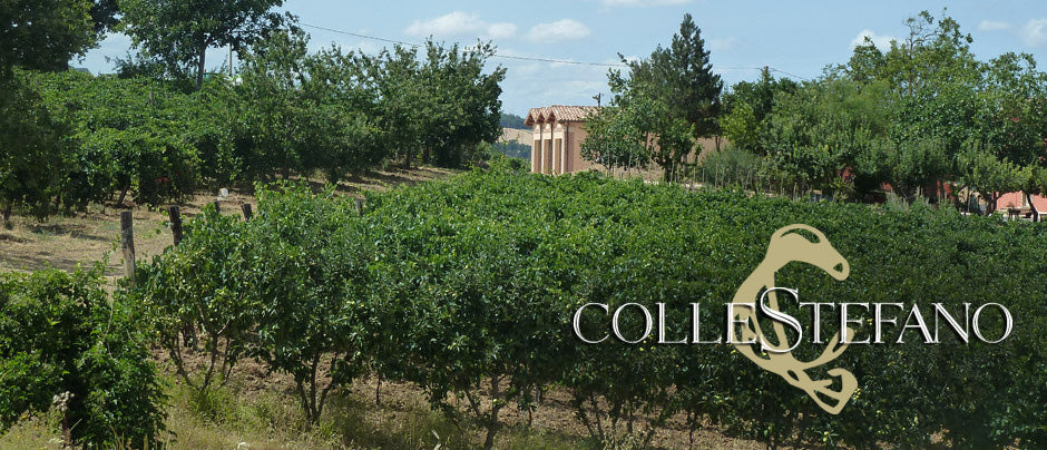 Collestefano