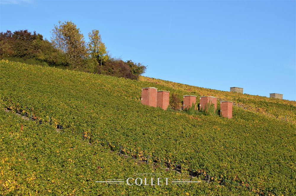 Collet
