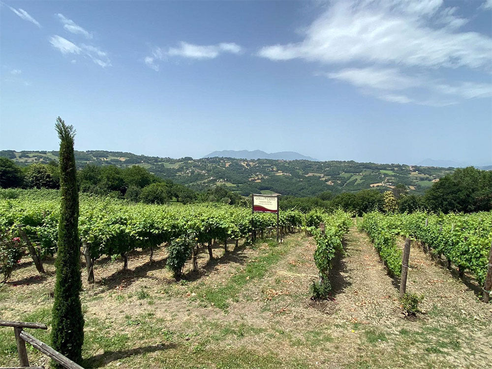 Colli di Lapio