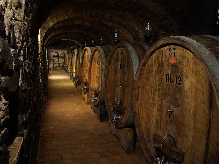 Collosorbo