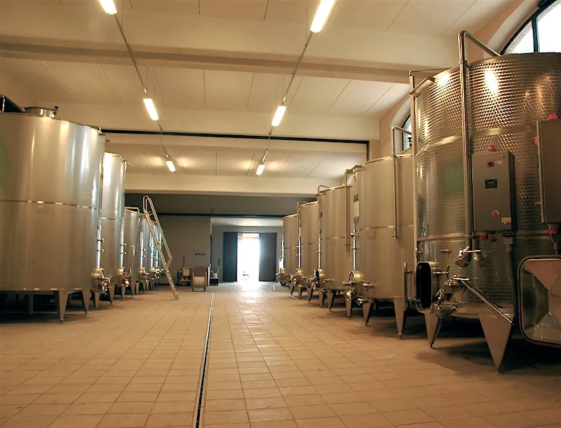 Collosorbo
