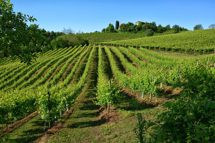 Conca d'Oro