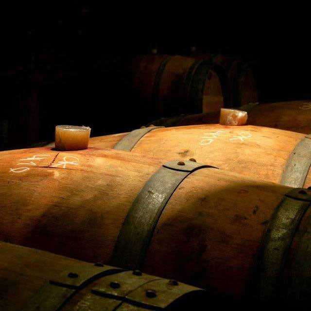 Concha y Toro