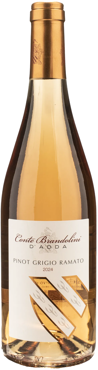 Conte Brandolini d'Adda Pinot Grigio Ramato 2024