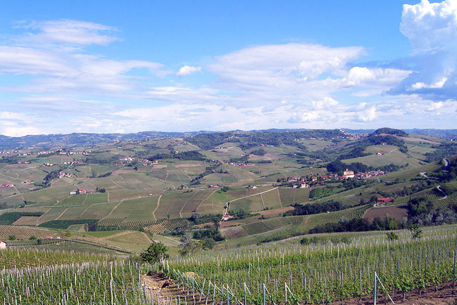 Conterno Aldo