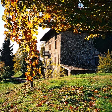 Conti Bossi Fedrigotti