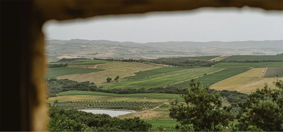 Conti Marone Cinzano