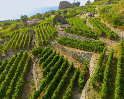 Costa Delle Parracine - Feudi San Gregorio