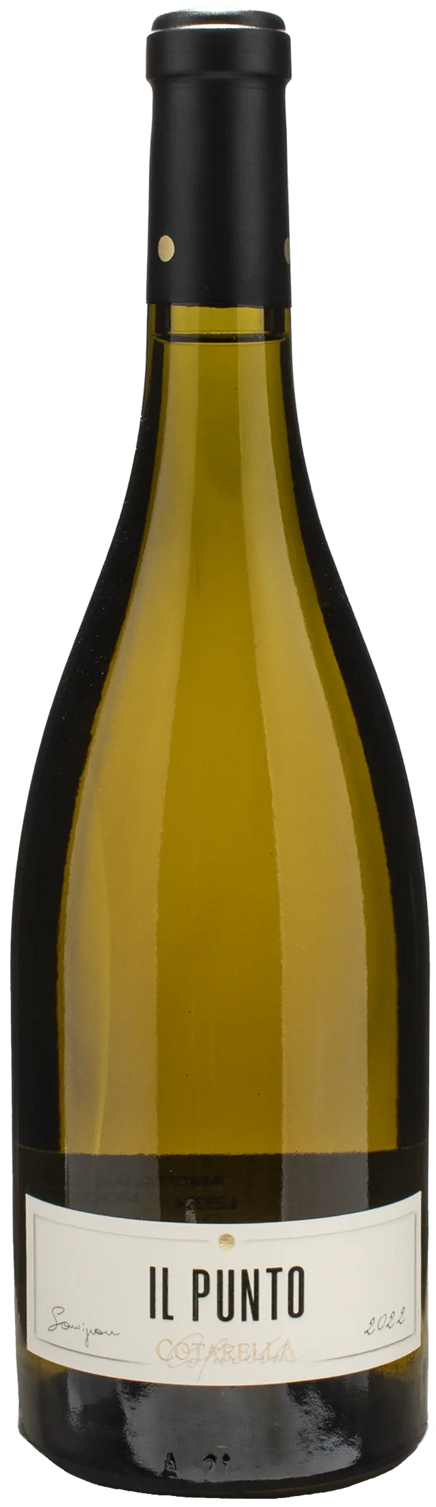 Cotarella Sauvignon Il Punto 2022