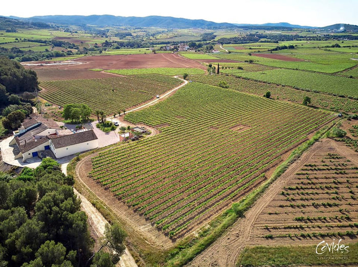 Covides Vineyards