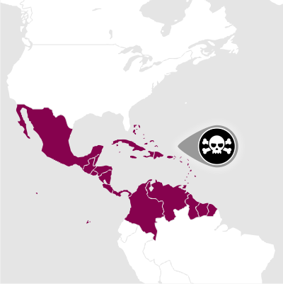 Zone de production: Cuba 
