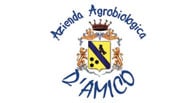 Salvatore D'Amico