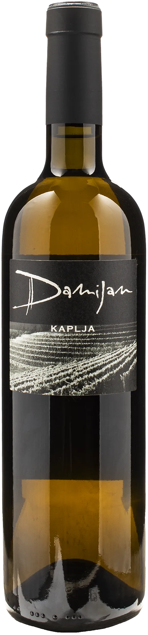 Damijan Podversic Kaplja 2020