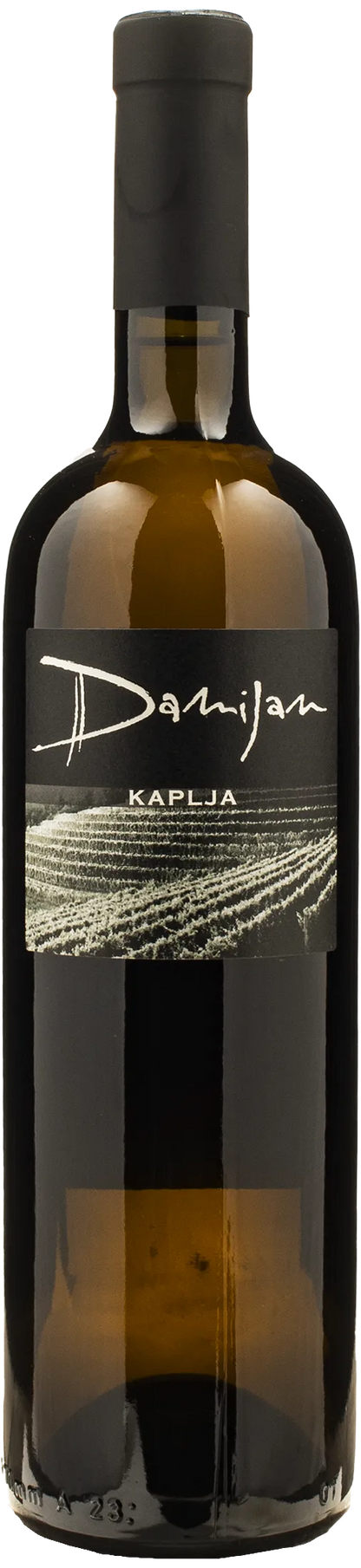 Damijan Podversic Kaplja 2021