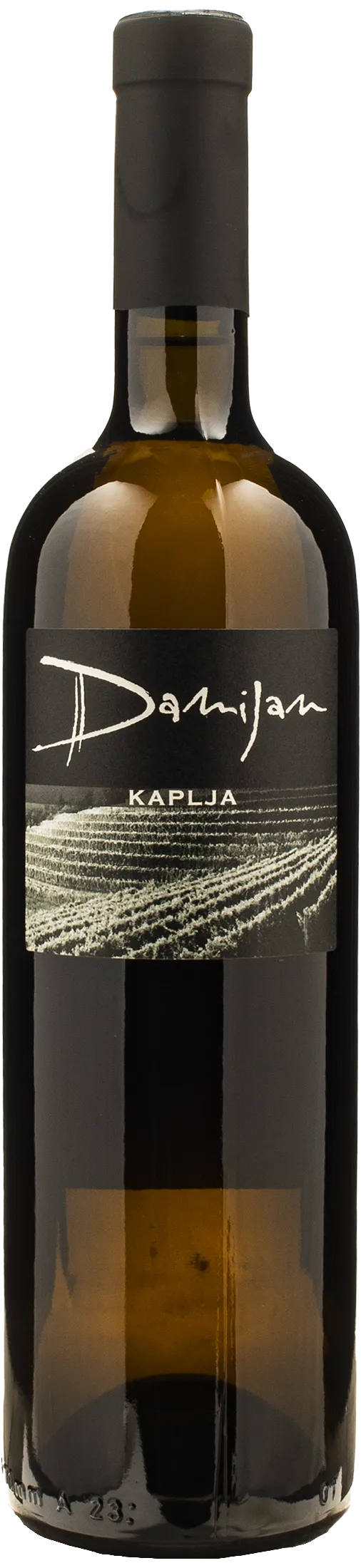 Damijan Podversic Kaplja 2021