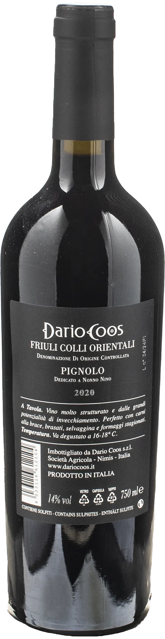 Dario Coos Pignolo 2020