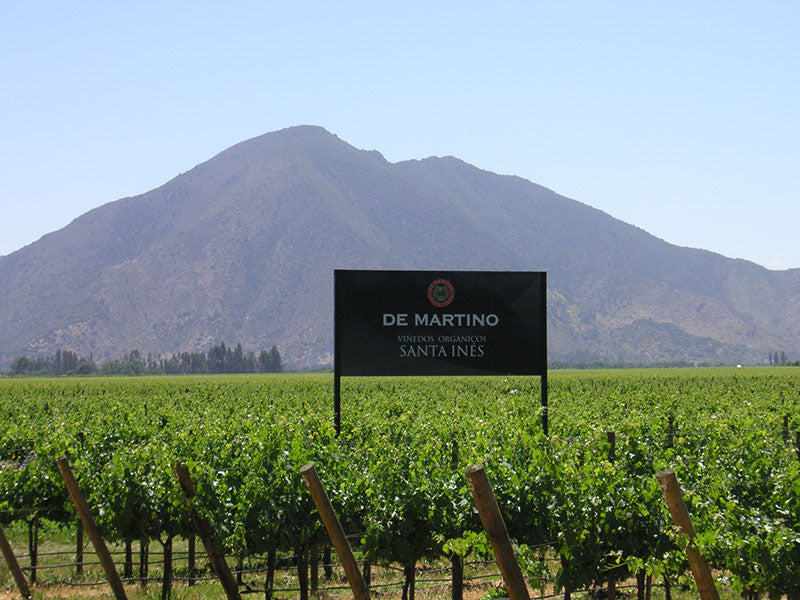 De Martino