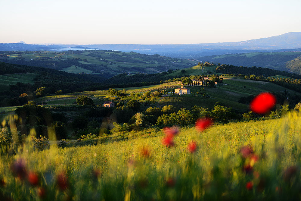 Decugnano dei Barbi
