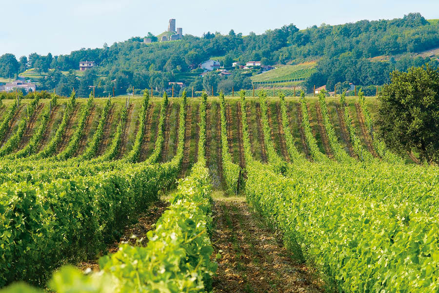 Delas Frères