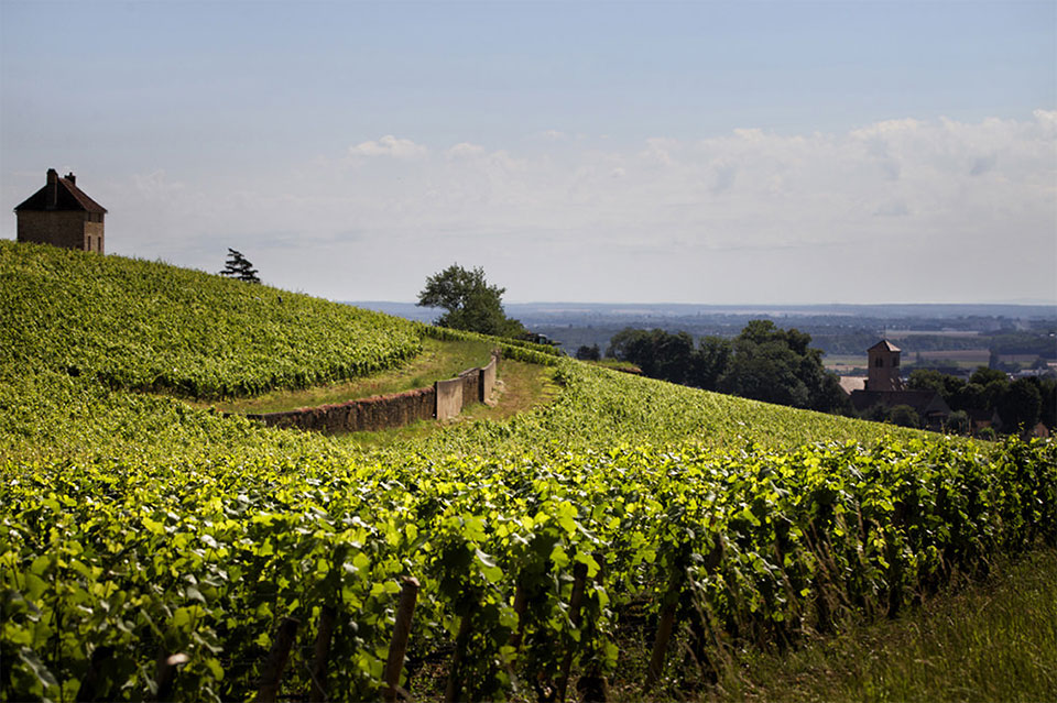 Denis Mortet
