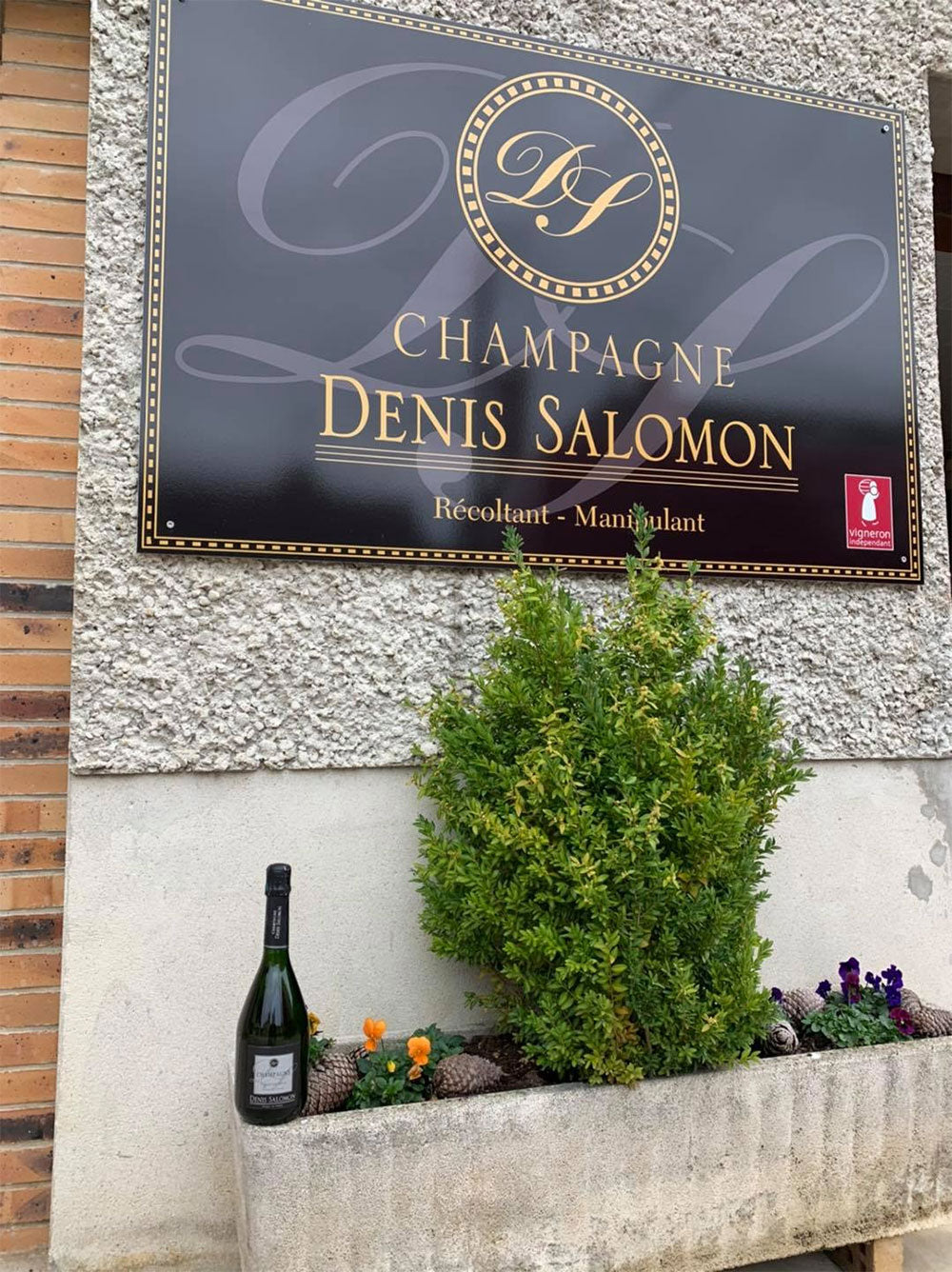 Denis Salomon