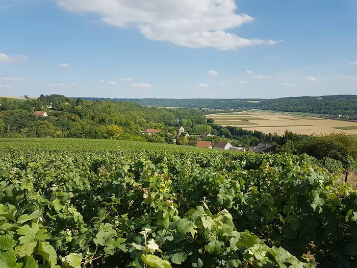 Derot Delugny