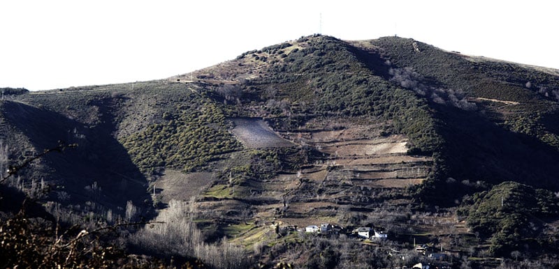 Descendientes de J.Palacios