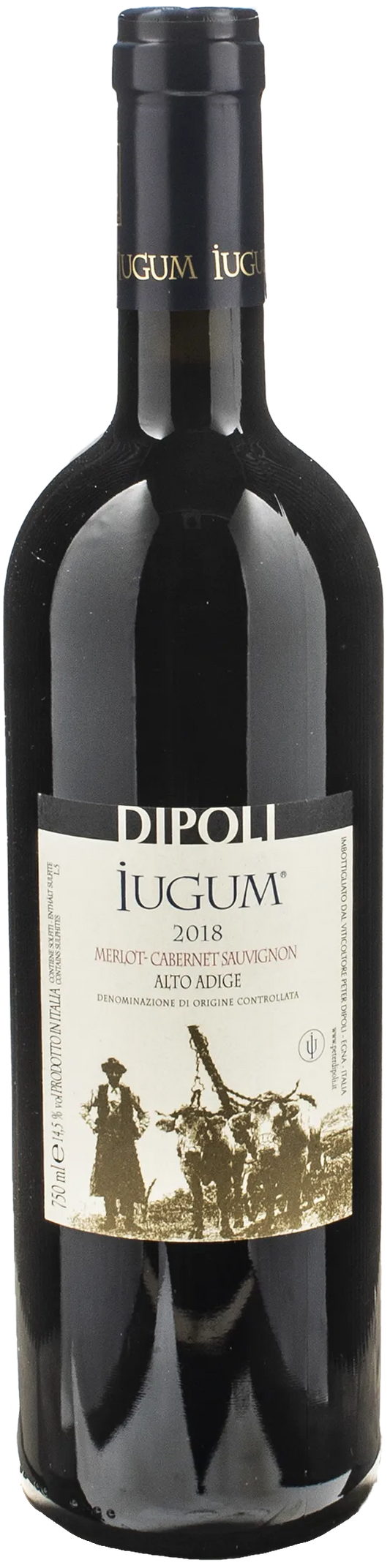 Dipoli Iugum 2018